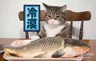 蓝色大海的传说甜不够,全智贤这条人鱼的衣服都被李敏镐承包了