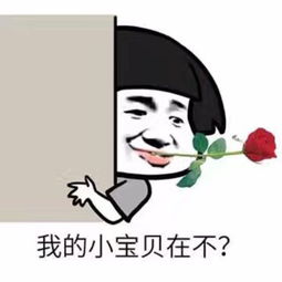 小趴菜表情包如何下载小仙女