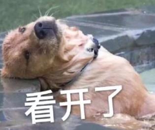 女生能有什么坏心思呢,你凶她时她只是单纯想下一任男友而已
