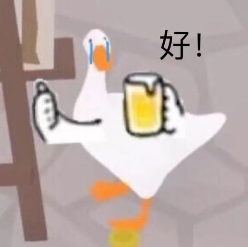 2019年度爆笑新闻合集求求你们点进来看吧哈哈哈哈哈哈哈
