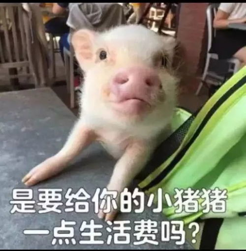 劲爆双十一学校食堂超市全部半价
