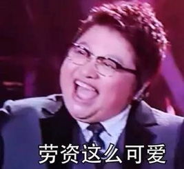 打架的表情包韩红