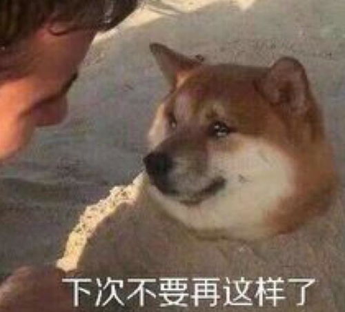 阿里庆功要裸奔,微软加班被警告哪些企业文化堪称奇葩