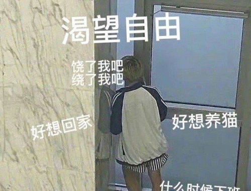 创造营名单发布,所有人都在笑,我却注意到利路修的这个表情