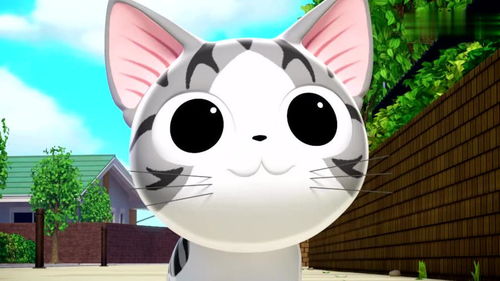 甜甜私房猫小奇要进行特训了,谁是它的老师呢