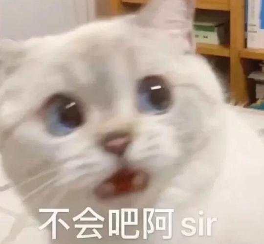 哪个表情包最可爱