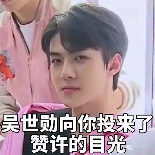 饭撩爱豆大盘点,张艺兴迷妹亮了