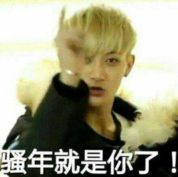 抖音表情包小黄脸少年凯