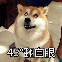 快来斗图第一弹