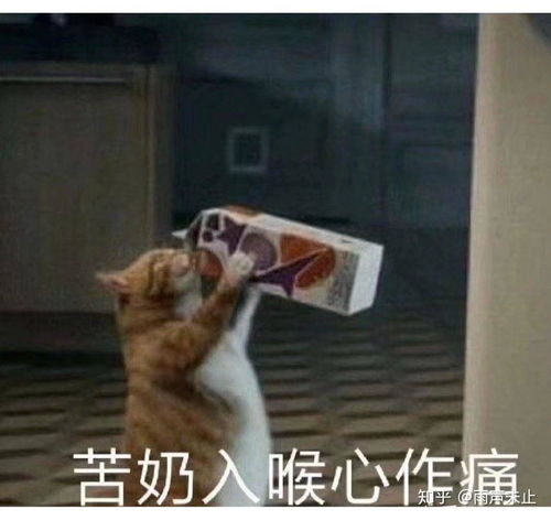 在线按奶20元一次表情包沙雕