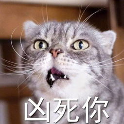 超生气愤怒表情包