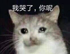 我能送你回家吗可能外面要下雨了表情包姐妹牛批表情包下载乐游网游戏下载