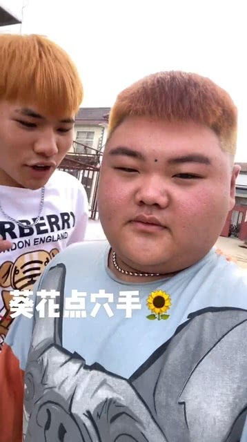 葵花点穴手