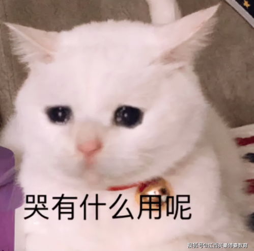 你开始思考自己是否喜欢读研生活所读专业问题了吗醒醒考完再说