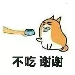 把它带回家一周,我妈就不要我了