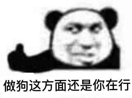 表情包熊猫头视频沙雕