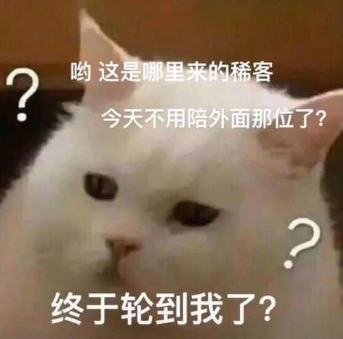 这些表情包太可爱了,赶紧收藏,不然以后找不到了