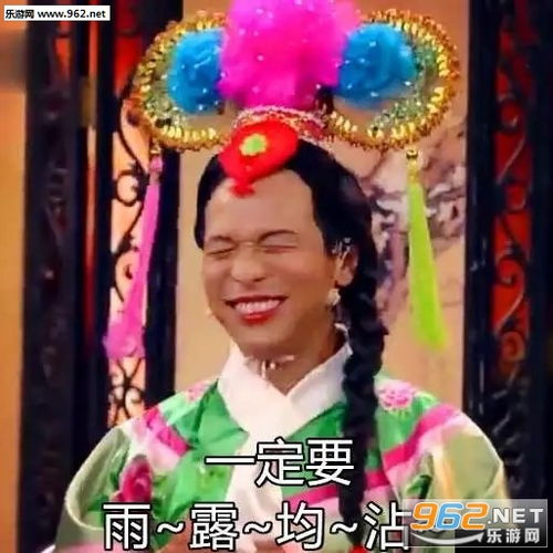 独得太阳恩宠表情包大全独得太阳恩宠表情包宋小宝版完整版下载乐游网游戏下载