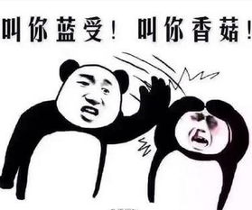 2016年十句烂大街网络流行语,再听我只好选择狗带