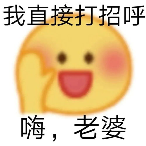最近很火的沙雕表情包