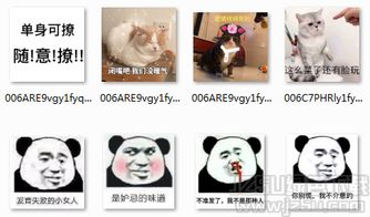 熊猫头是妒忌的味道微信表情熊猫头是妒忌的味道表情包免费版jz5u绿色下载站