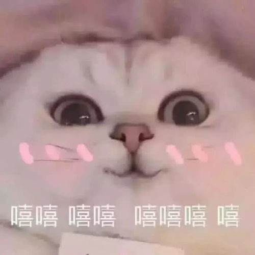 表情最近臭美表情包火了注意你的态度,怎么跟宇宙小姐说话呢...表情