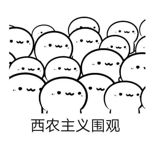 星级宿舍他们不只是宿舍整洁