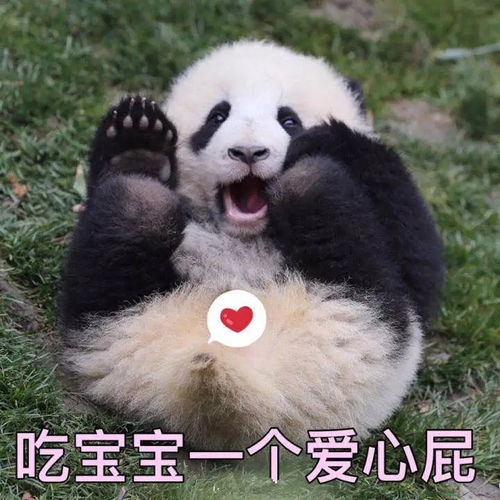 可爱熊猫表情包第一弹