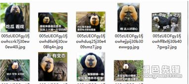 白脸僧面猴表情包白脸僧面猴搞笑图片v1709完整版软件下载