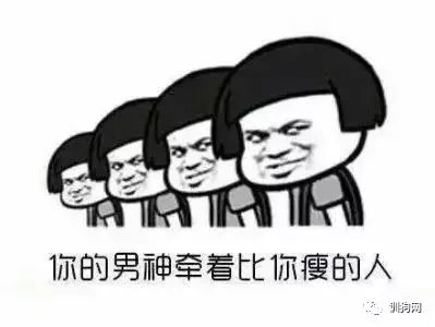 狗狗都能减肥成功,而你,还是......
