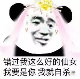 表情包死了这条心吧,我压根没看上你