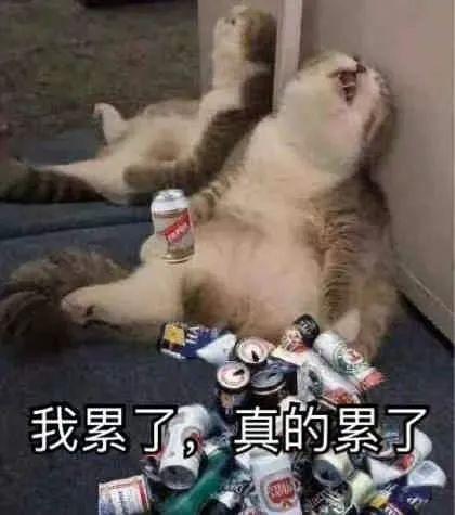 累了表情包