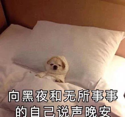 睡觉表情包演员