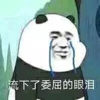 裸熊表情包