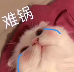树洞希望未来能找到一个牵手看夕阳的人