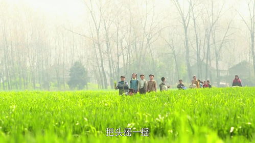 村长问儿子到底是谁说的,没想儿子说是范大嘴,这下村长表情亮了