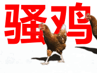 野鸡必备表情包,可以保存到手机相册哦
