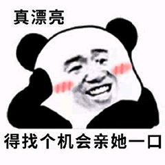 熊猫头表情包i推着你的三轮儿赶紧滚