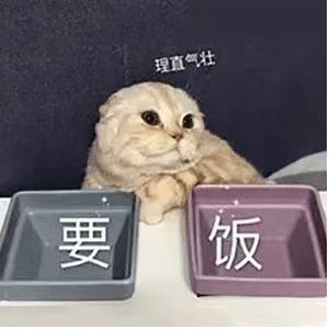 昨晚你是熬夜的双十一定金人吗李佳琦凌晨敲锣让大家不要睡