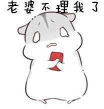 有哪些瞬间,你不想要老婆