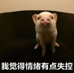 如果胖也是一种罪,我值得被判无期徒刑