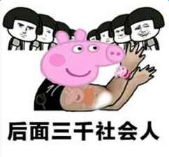 抖音我们社会人表情包分享小猪佩奇不服喵星人表情包大全