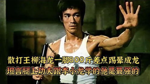 散打王柳海龙一脚800斤,差点踢晕成龙,坦言论功夫李小龙才最强