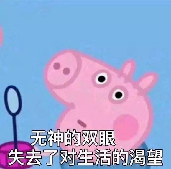 小猪佩奇表情包社会人必备