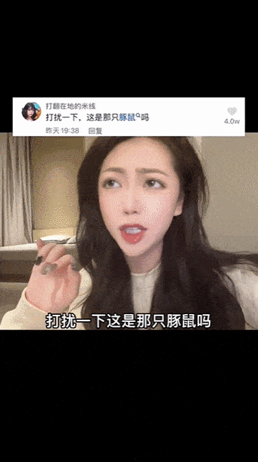 5天播放破6亿,不止金钱豹,这些抖音热点也是爆款密码