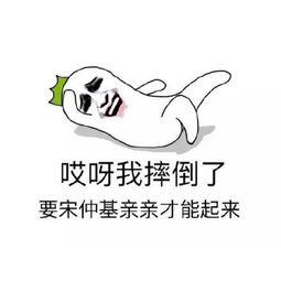 宋仲基恶搞表情包