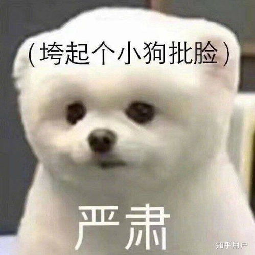 狗狗发抖的表情包潜台词