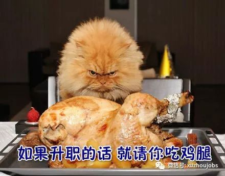 你的加薪是等来的,还是求来的