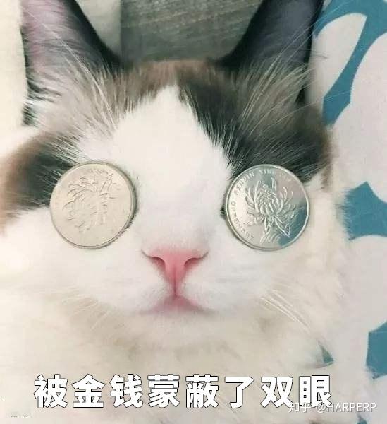 母猪图片表情包小心眼