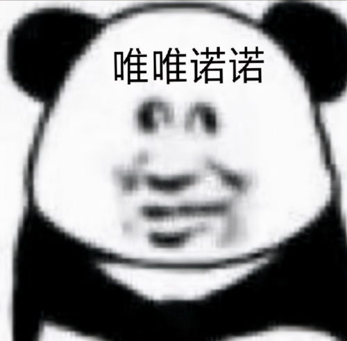 除了陌陌,探探,还有什么交友软件值得种草